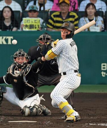 　３回、死球を受ける森下（撮影・立川洋一郎）