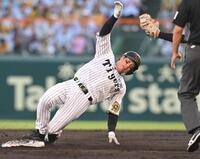 　２回、二盗を狙うもアウトになる梅野（撮影・飯室逸平）