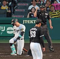 　３回、空振り三振に倒れて膝をつく佐藤輝（撮影・立川洋一郎）