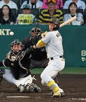 　３回、死球を受ける森下（撮影・立川洋一郎）