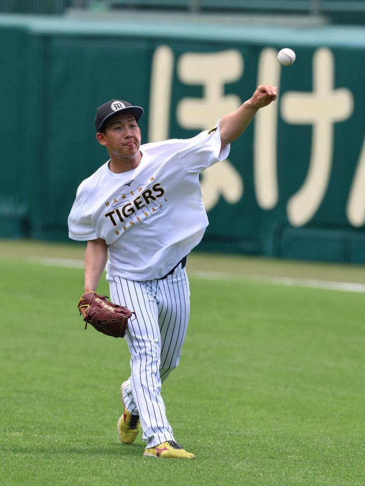 キャッチボールする阪神・伊原陵人＝甲子園（撮影・山口登）