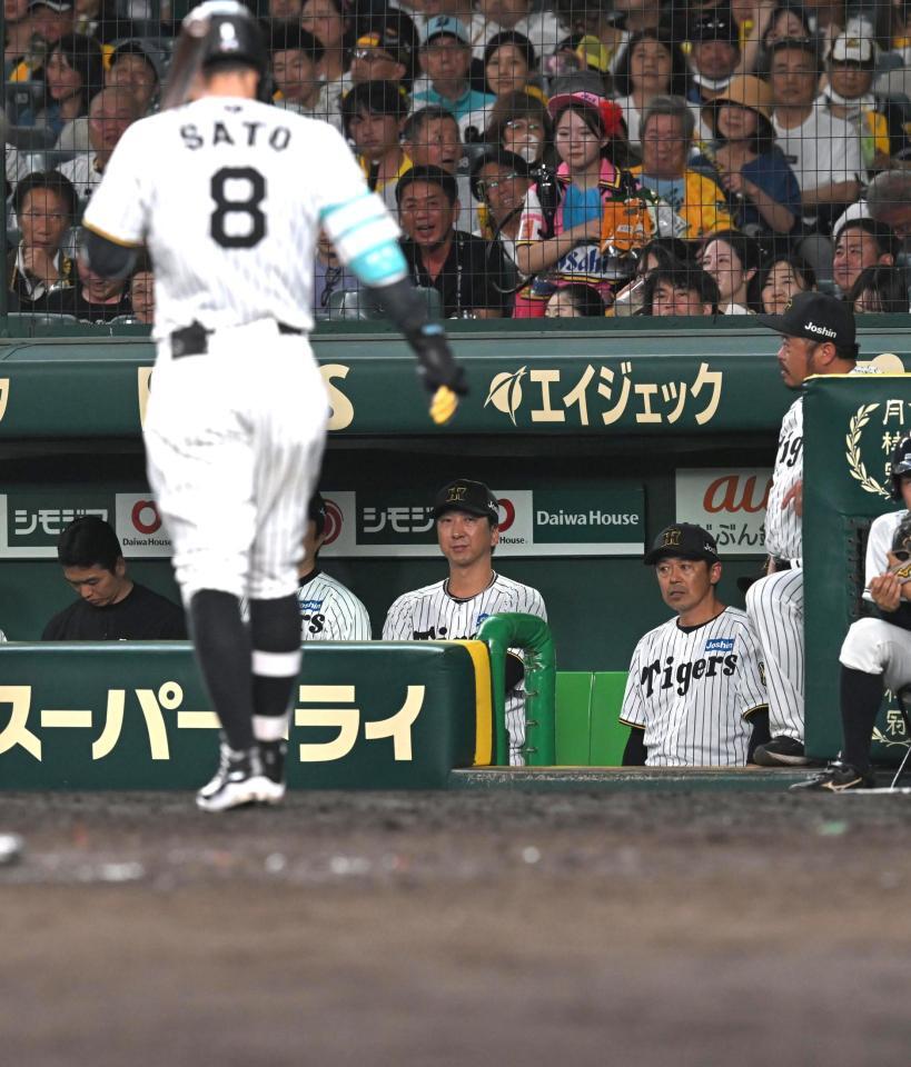 　９回、４打席連続三振の佐藤輝（８）にベンチで厳しい表情の藤川監督（撮影・飯室逸平）