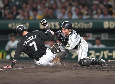 　５回、藤岡（７）の生還を阻止する坂本（撮影・飯室逸平）