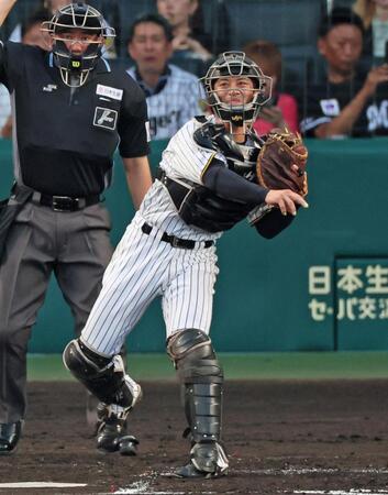 　２回、安田の二盗を阻止する坂本（撮影・立川洋一郎）