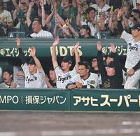 　８回、伊藤将（中央）は佐藤輝の２ランにベンチでバンザイ（撮影・飯室逸平）