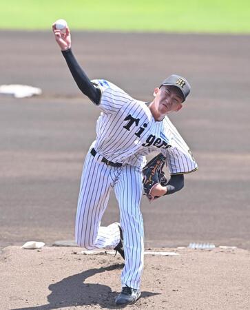 　力投する先発の今朝丸（撮影・西田忠信）