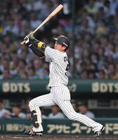 　４回、先制犠飛を放つ近本（撮影・飯室逸平）