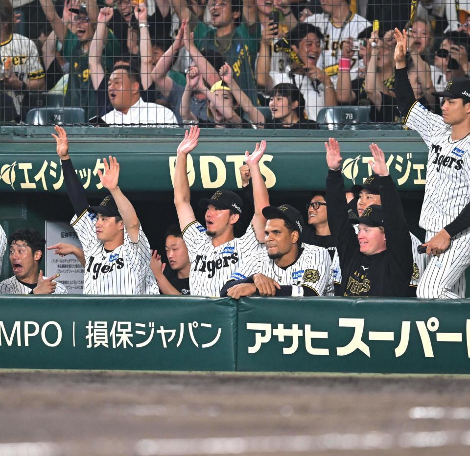 　８回、伊藤将（中央）は佐藤輝の２ランにベンチでバンザイ＝１８日