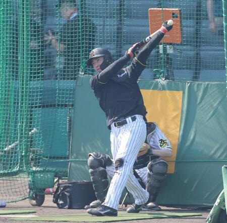 打撃練習する佐野（撮影・北村雅宏）