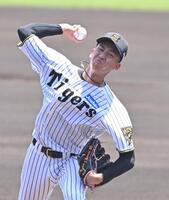 　力投する先発の今朝丸（撮影・西田忠信）