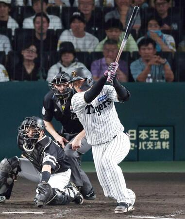 　５回、同点となる適時打を放つ大山（撮影・北村雅宏）