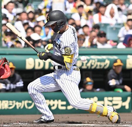 　１回、死球を受ける森下（撮影・西田忠信）