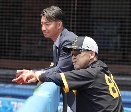 　ベンチで話をする（手前から）岡田監督、鳥谷敬氏＝２０２４年６月