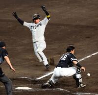 　５回、近本は大山の中前打で生還する（捕手・海野）＝撮影・山口登