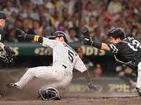 　５回、大山の同点打で生還する近本（左）＝撮影・西田忠信