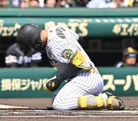 　１回、死球を受けた森下（撮影・西田忠信）