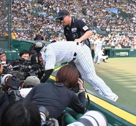 　３回、野村の打球を追ってカメラ席に飛び込んだ阪大山（撮影・西田忠信）