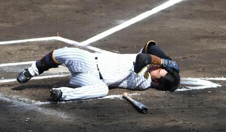 【写真】頭部死球に倒れ込む阪神中野　ソフトバンク海野の人柄が出た姿