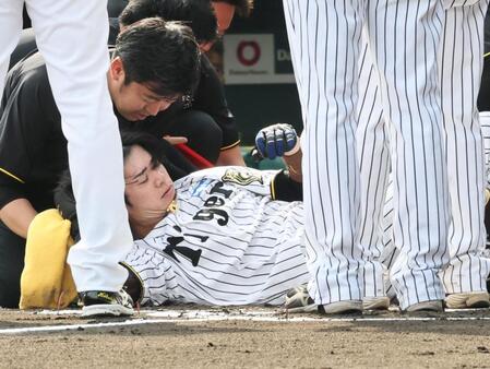 　６回、頭部に死球を受け倒れ込む中野（撮影・田中太一）