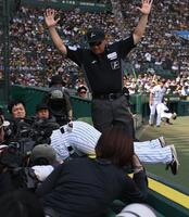 　３回、野村の打球を追ってカメラ席に飛び込んだ大山（撮影・西田忠信）