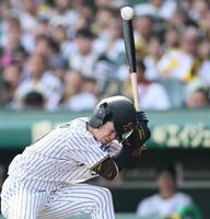 　６回、頭部に死球を受ける中野（撮影・田中太一）