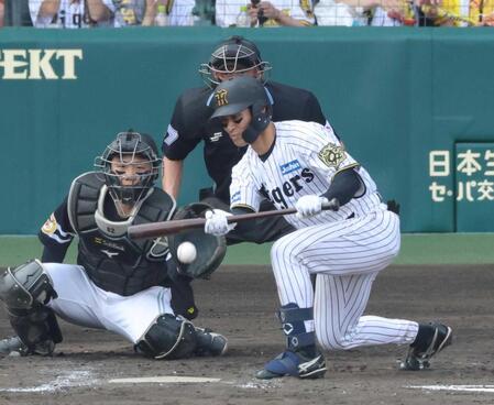 阪神・藤川監督　ソフトバンクに「力負け」交流戦負け越し　七回勝負手不発「作戦的な課題」采配後悔なし