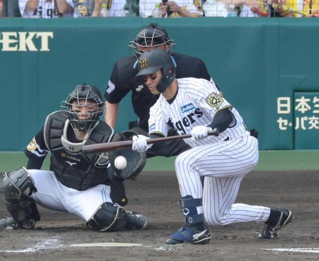 阪神・藤川監督 ソフトバンクに「力負け」交流戦負け越し 七回