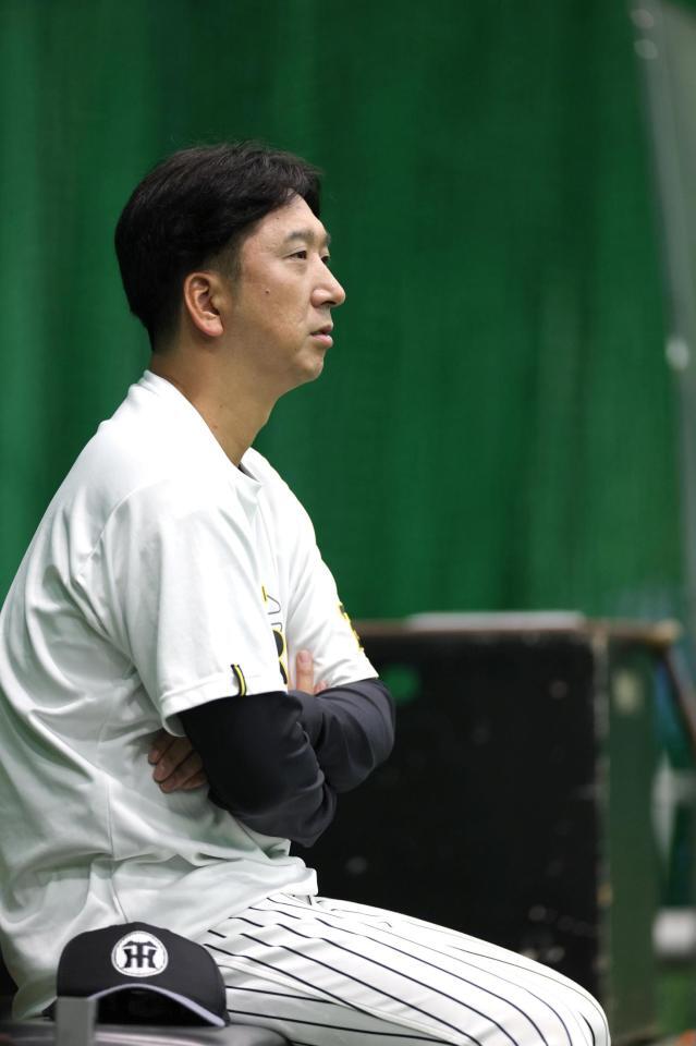 　練習を見る藤川監督（撮影・北村雅宏）