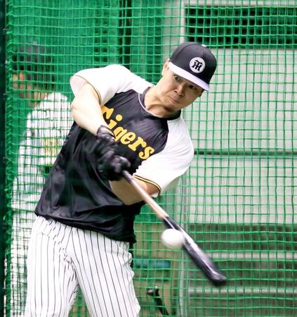 　フリー打撃をして打ち込む佐藤輝（撮影・立川洋一郎）
