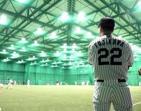 　練習を見る藤川監督（撮影・北村雅宏）