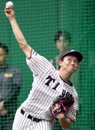 　キャッチボールをして調整する湯浅（撮影・立川洋一郎）