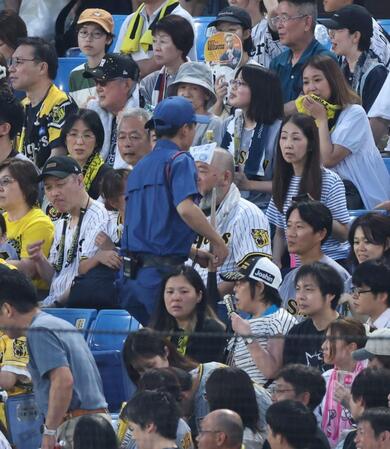 　３回、ヘルナンデスの折れたバットがスタンドに（撮影・金田祐二）