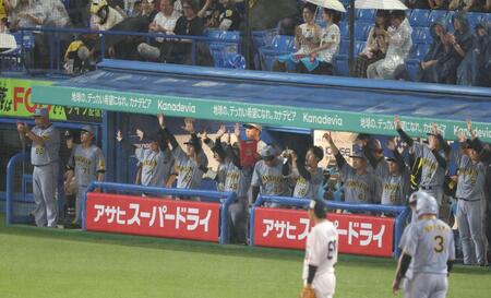 　４回、ヘルナンデスの適時打で盛り上がる阪神ベンチ（撮影・金田祐二）