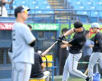 　藤川監督（左）の横でティー打撃を行う佐藤輝（撮影・西岡正）