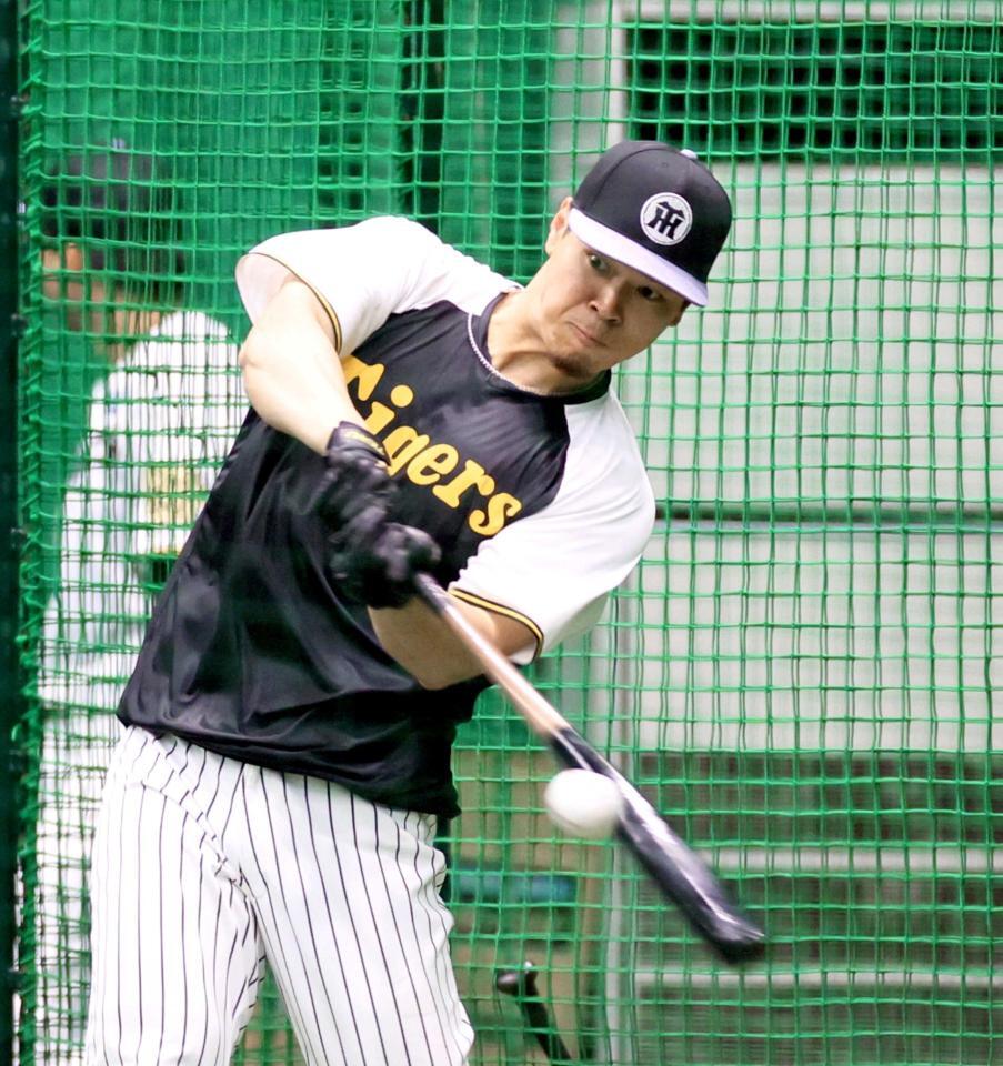 　フリー打撃をして打ち込む佐藤輝（撮影・立川洋一郎）