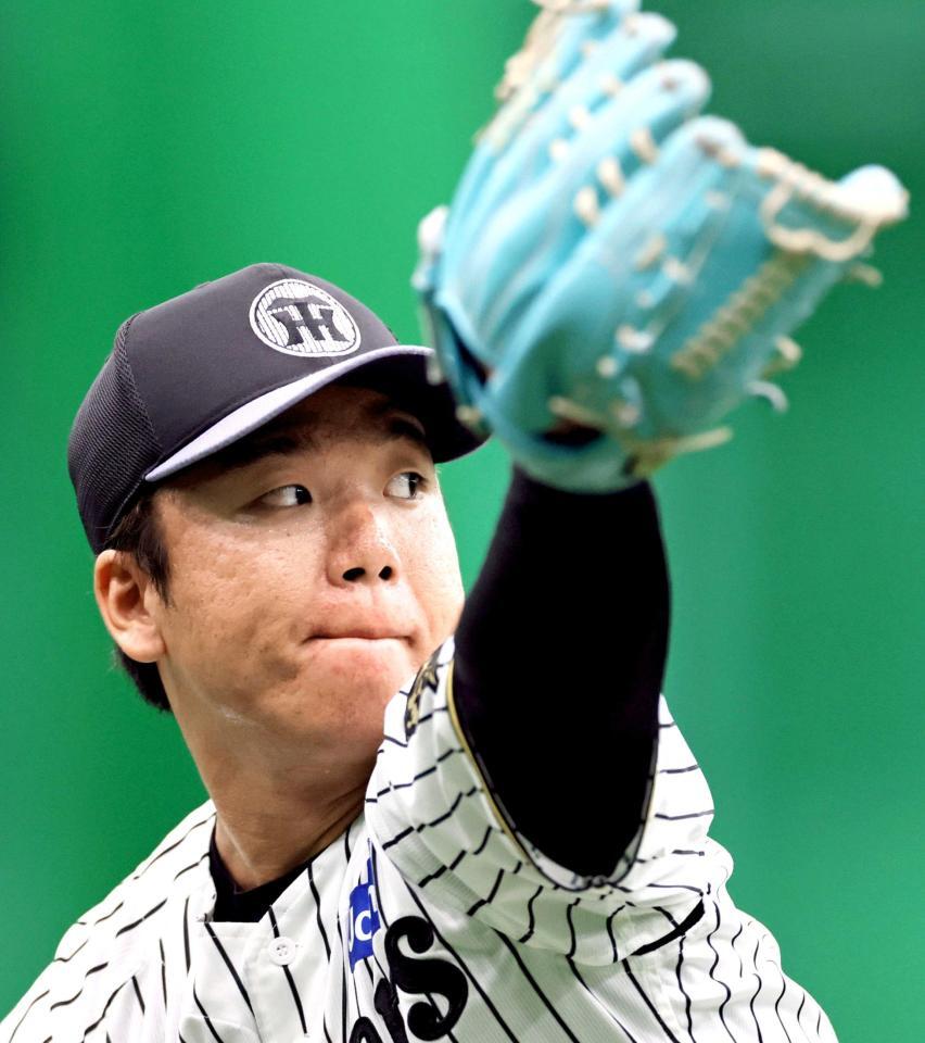 　キャッチボールをして調整する村上（撮影・立川洋一郎）