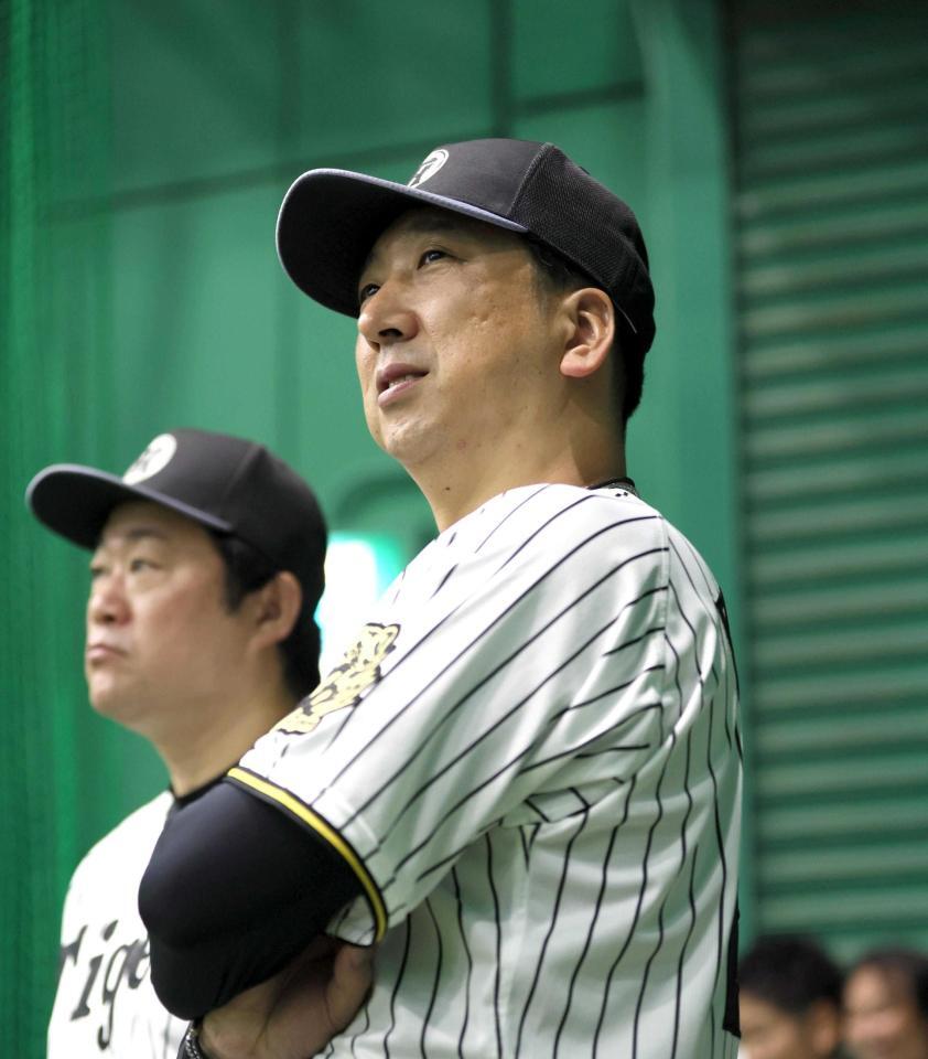 　練習を見る藤川監督（撮影・北村雅宏）