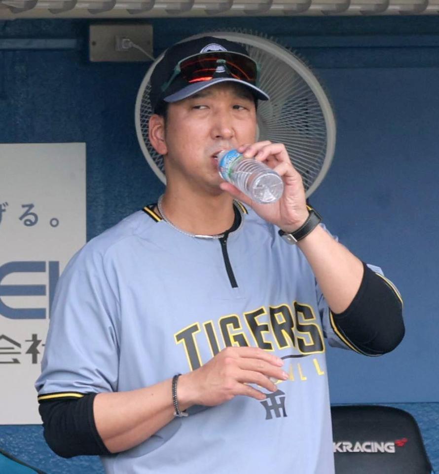 　給水する藤川監督（撮影・西岡正）