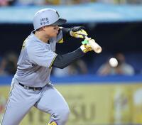 　４回、バントを試みる森下（撮影・西岡正）