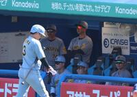 　４回、大山が空振り三振に倒れ厳しい表情の藤川監督（撮影・金田祐二）