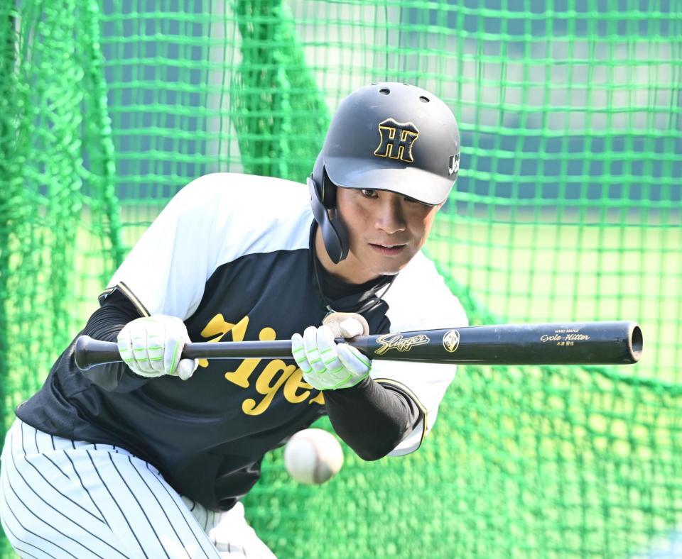 　バント練習をする木浪（撮影・西田忠信）