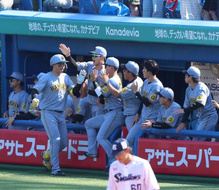 　５回、先制２ランを放ちナインに迎えられる森下（撮影・金田祐二）