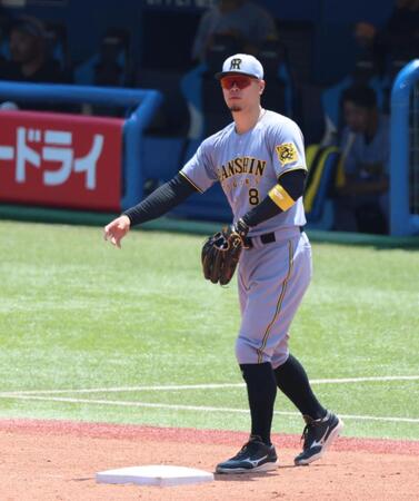 　シートノックで三塁を守る佐藤輝（撮影・金田祐二）