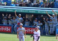 ５回、坂本の適時二塁打で盛り上がる阪神ベンチ（撮影・金田祐二）