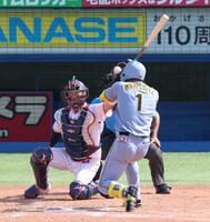 　５回、死球を受ける森下（撮影・金田祐二）