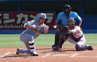 　５回、スクイズを決める伊藤将（撮影・金田祐二）
