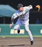 　８回に登板し、３者連続三振に抑えた石井（撮影・西田忠信）