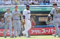 　５回、伊藤将のスクイズで生還した前川（右）を心配そうに出迎える藤川監督（左から２人目）＝撮影・西岡正