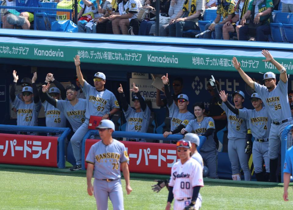 ５回、坂本の適時二塁打で盛り上がる阪神ベンチ（撮影・金田祐二）
