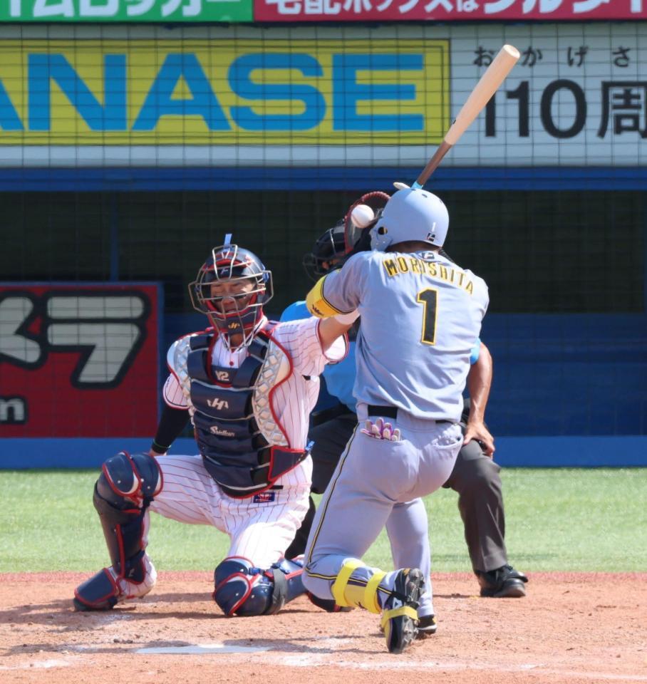 　５回、死球を受ける森下（撮影・金田祐二）